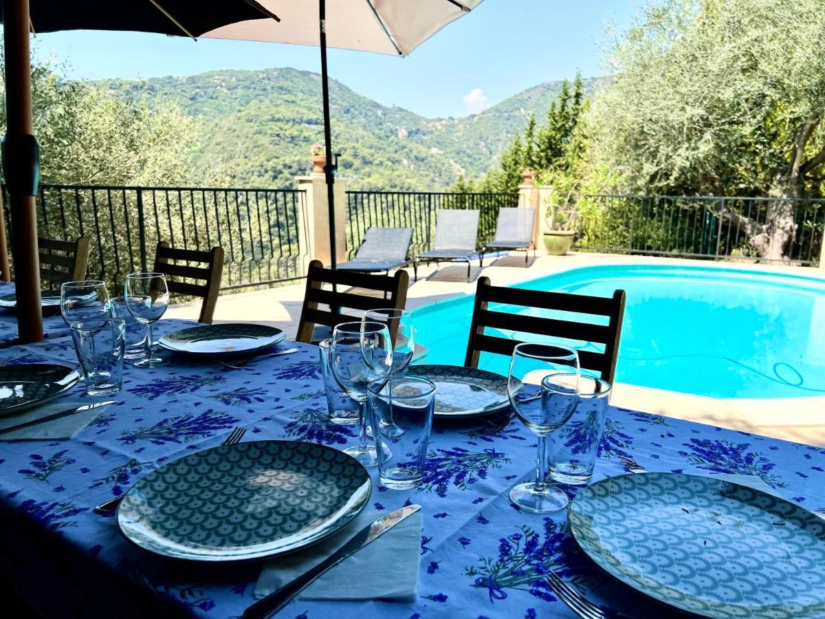 Drap Entre Nice Et Monaco Grande Villa Avec Piscine Privee 12 Personnes מראה חיצוני תמונה